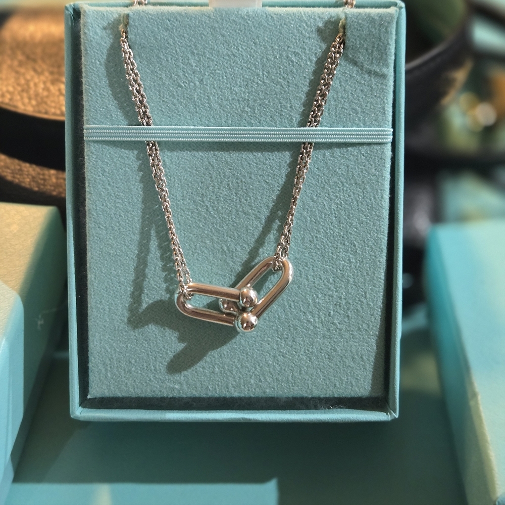 Tiffany & Co Double Link Pendant
